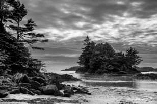 Tin Wis, Vancouver Island-7564